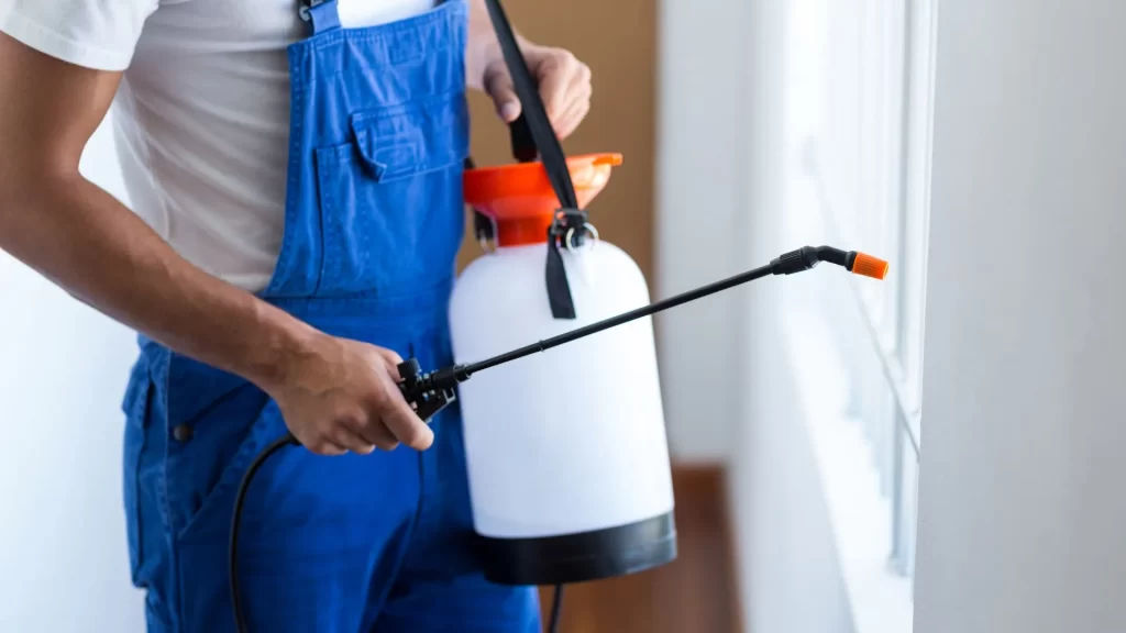 A pest control company representative out on a house call from local SEO